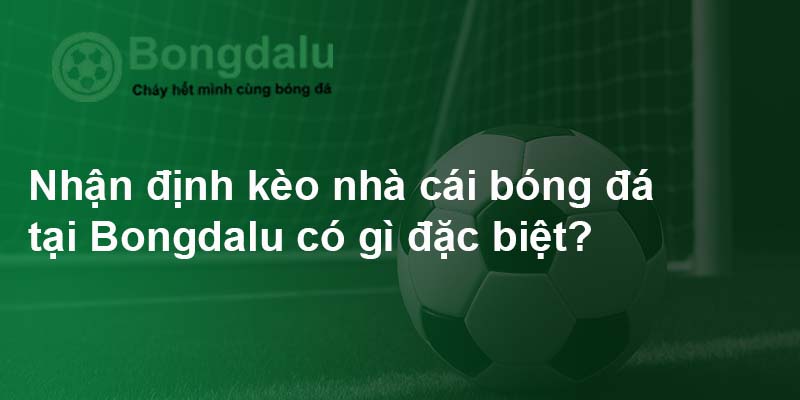 Bongdalu cung cấp soi kèo chuẩn, nhanh, miễn phí mỗi ngày