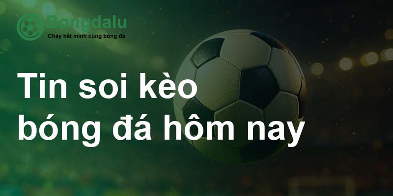 Bongdalu cung cấp soi kèo chính xác từ các giải đấu lớ